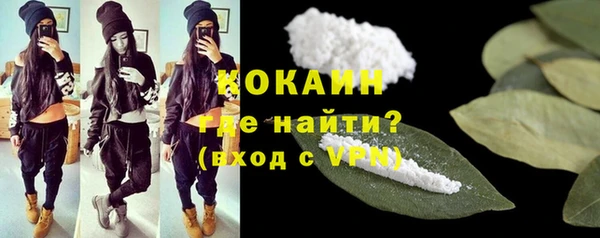 винт Бородино