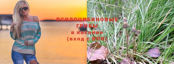 а пвп мука Верхний Тагил
