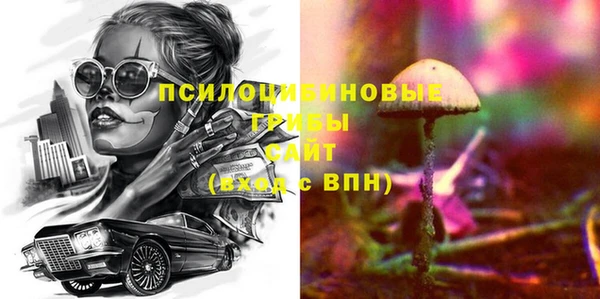 винт Бородино
