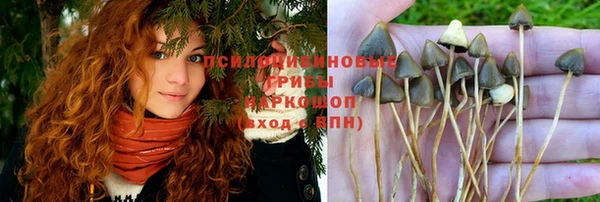винт Бородино